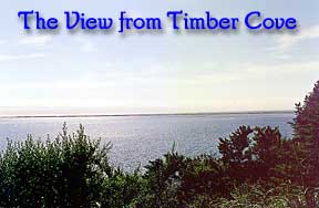 View At Timber Cove